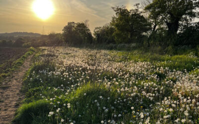 Square breathing: How to calm feelings of stress and reduce anxiety